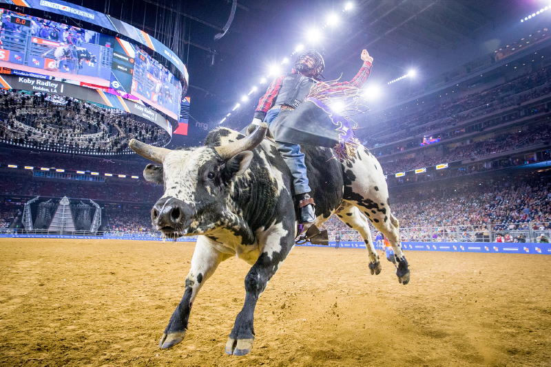 Houston Livestock Show And Rodeo Full Season Package (3/3 - 3/21) at NRG Stadium